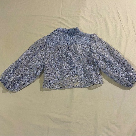 Zara Puff Sleeve Organza  Button
Down Blue floral see through Blouse S - Picture 7 of 7